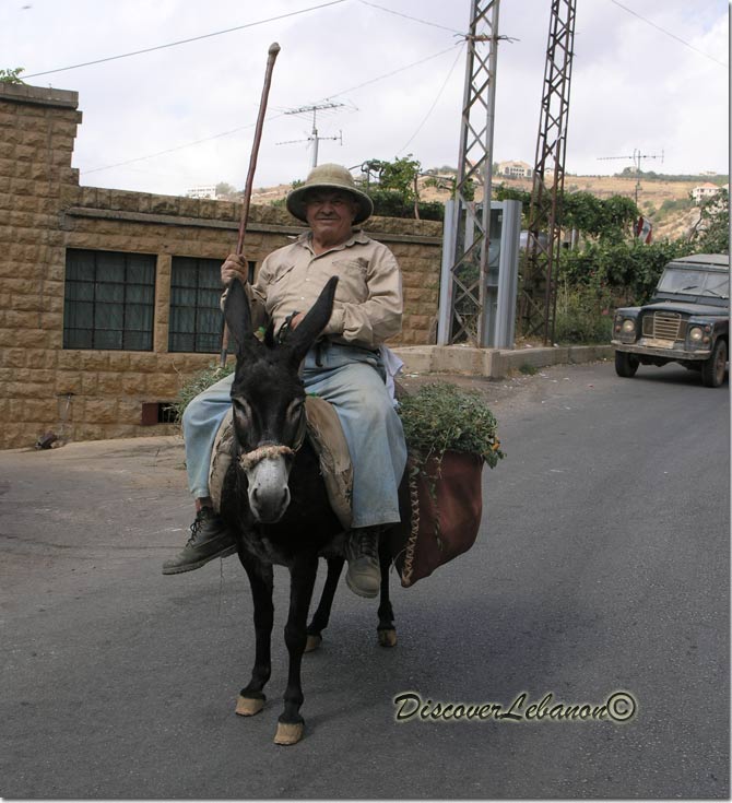 Donkey Riding Akoura