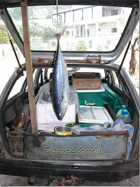 Fish store car