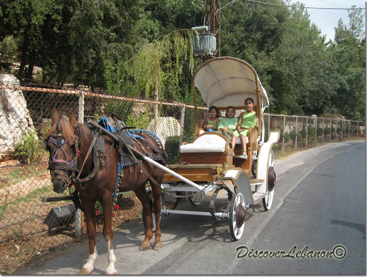 Horse car in Akoura