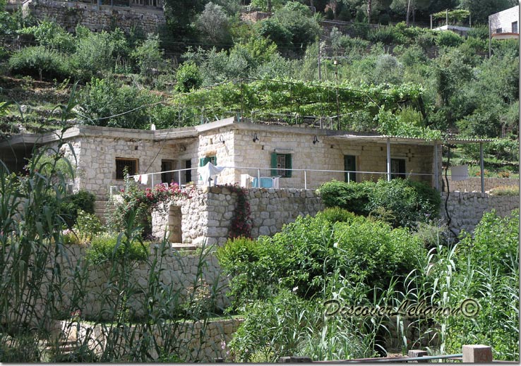 House in Chaatoul