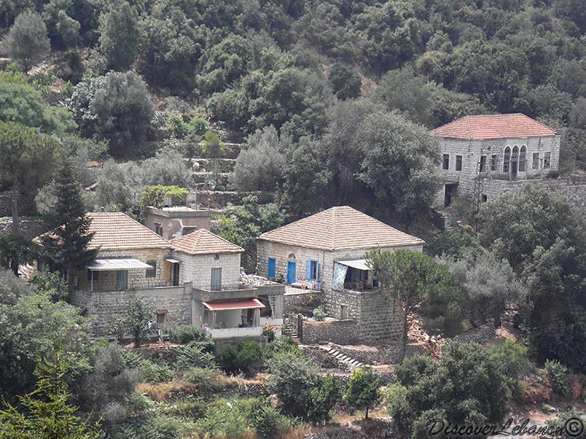 Homes in Ghineh