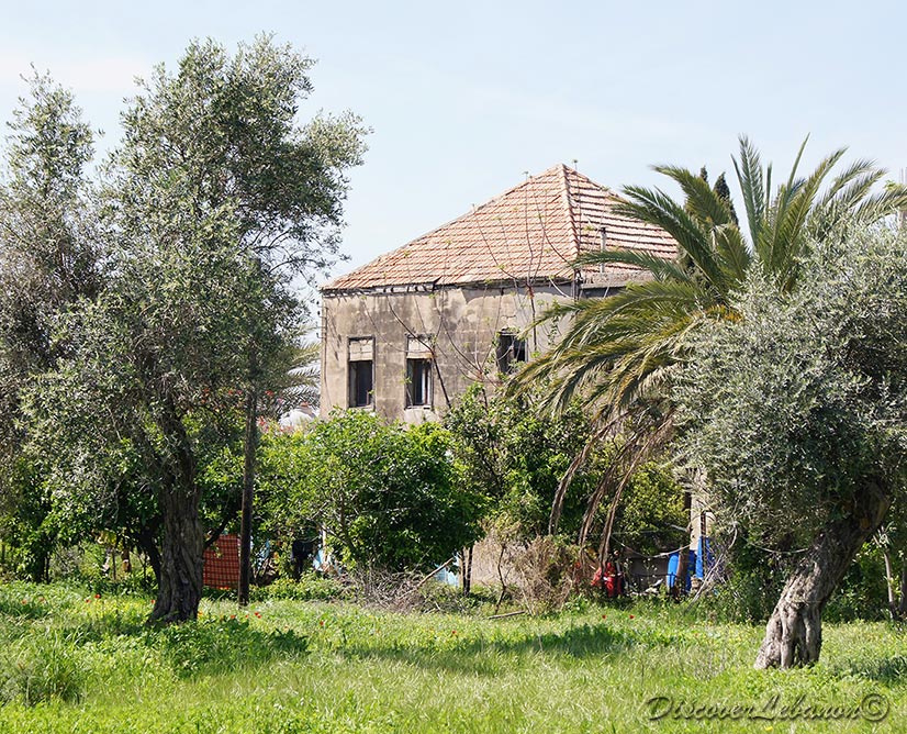 House in Enfeh