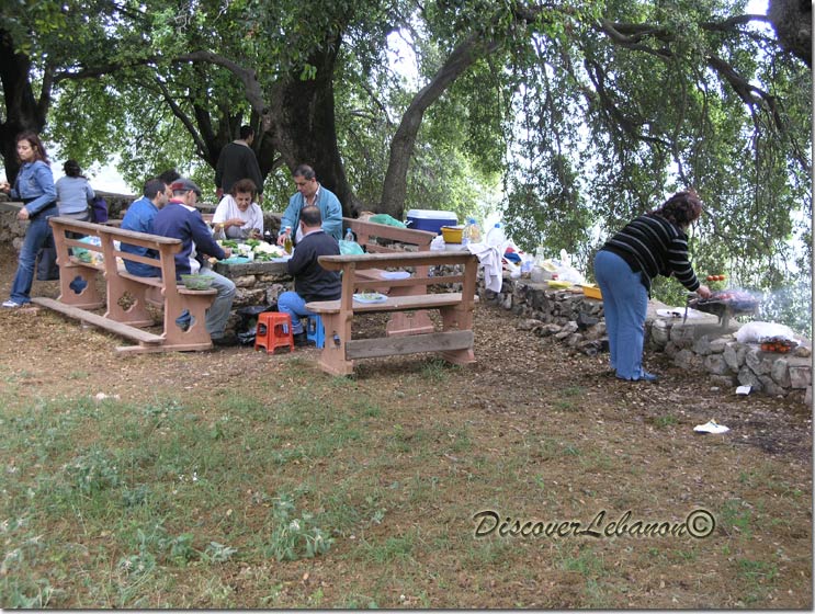 Assia Village picnic