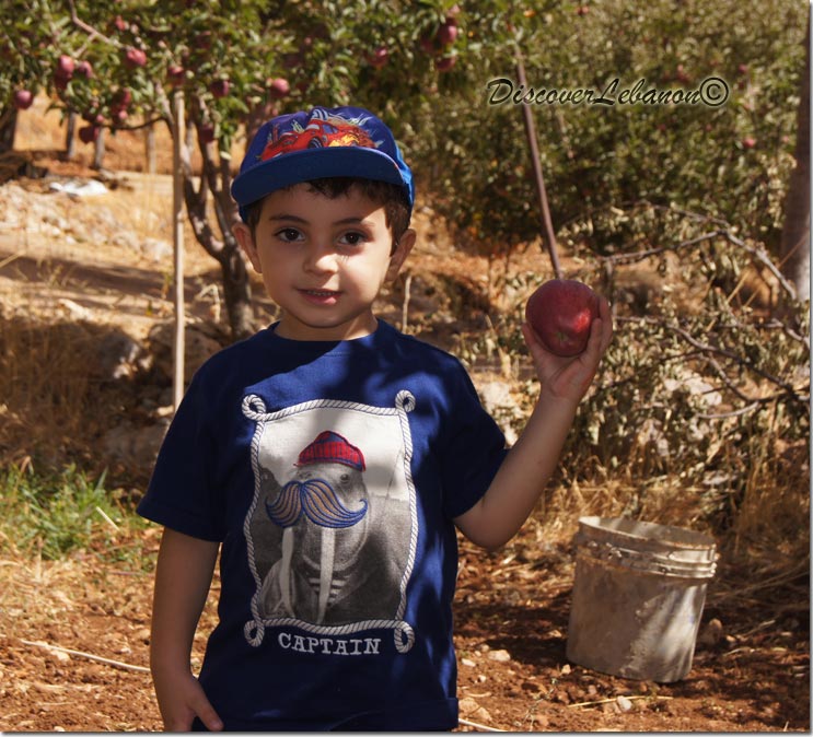 Lebanese boy apple