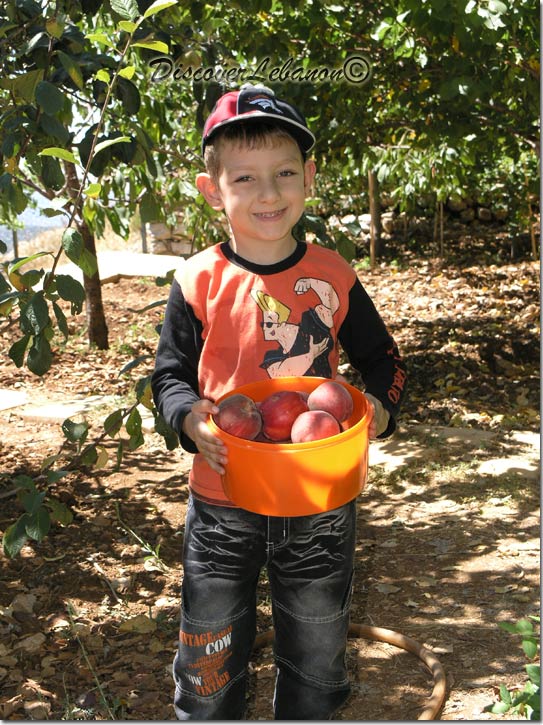 Kid with fruits