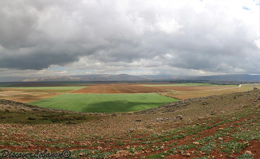 Plain of Beqaa