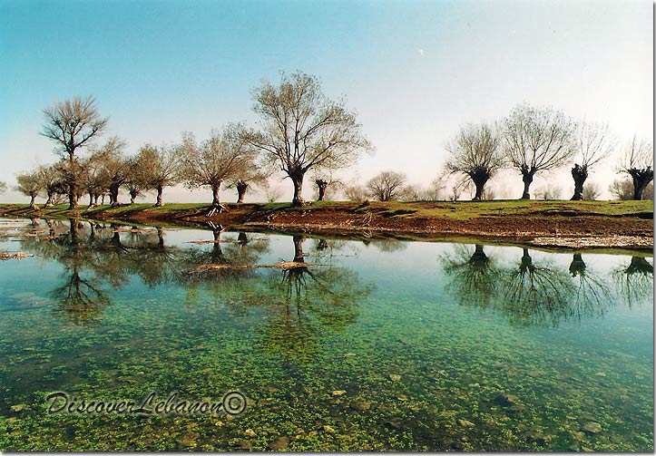 Aamiq Wetlands
