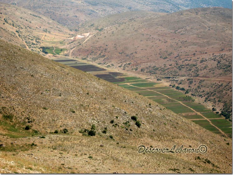 Corner in Beqaa valley