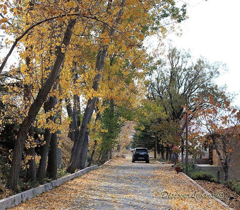 Road Laqlouq in Autumn