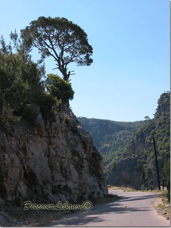 Hidden road Lebanon