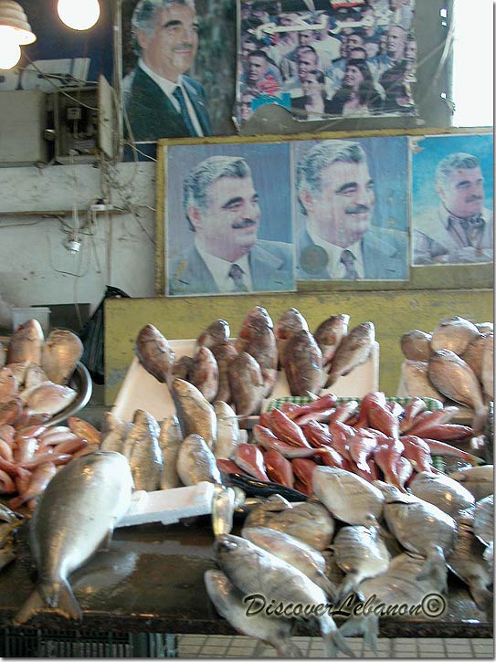 Fishes in Saida - Late Hariri