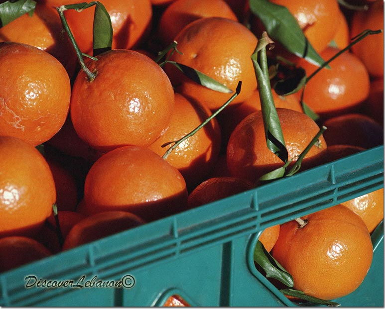 Orange or Pure Vitamin C