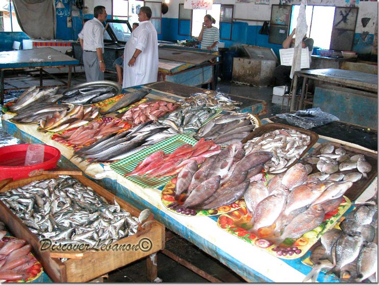Different Fishes Table