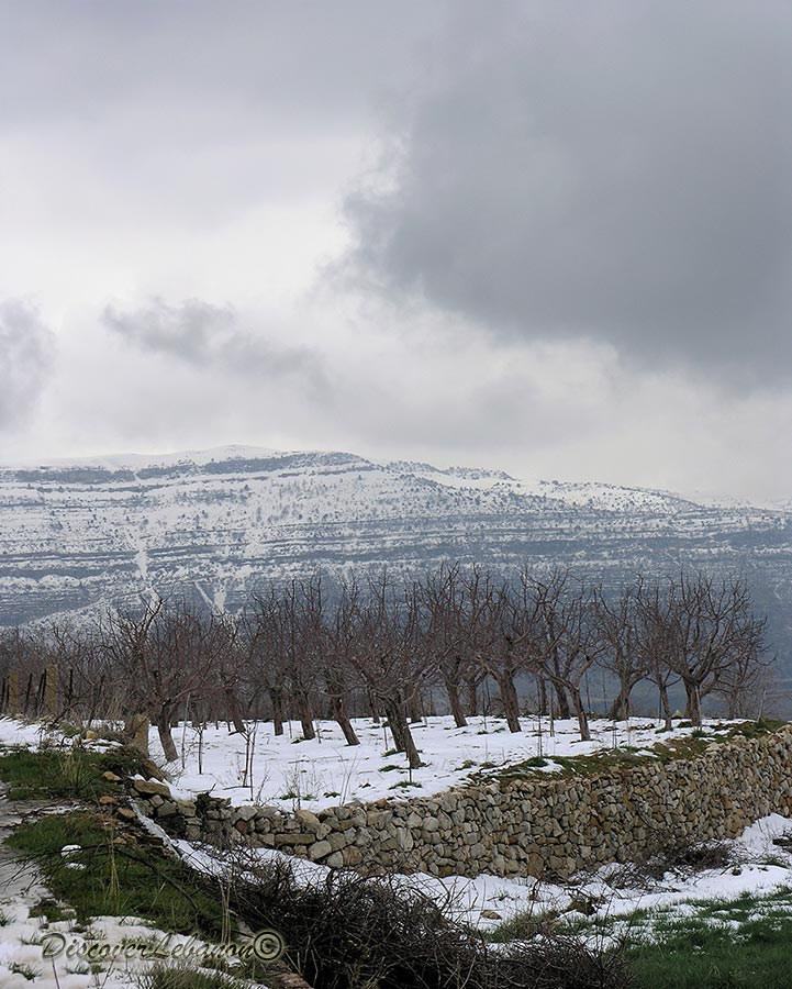 Akoura in snow