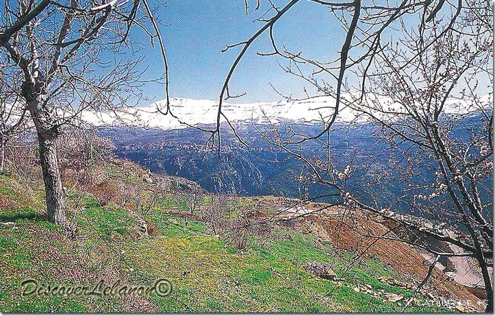 View from the valley, Qadisha