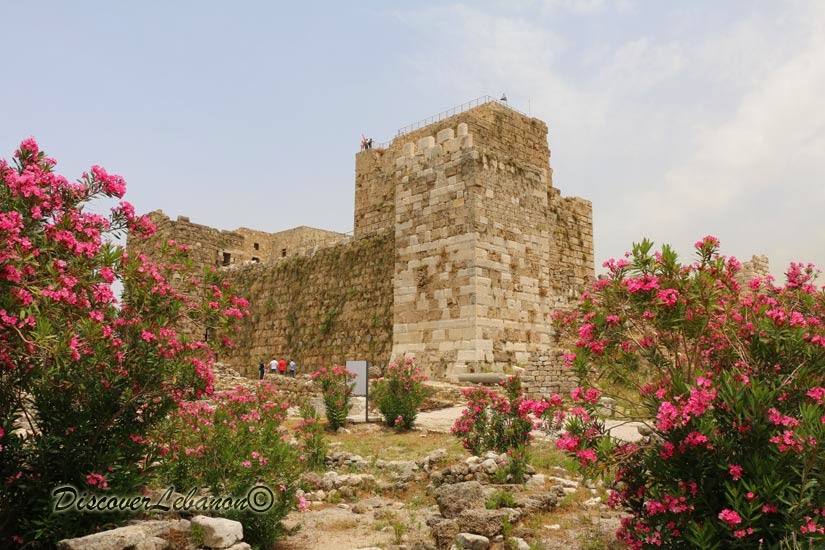 Jbeil Byblos citadel in flowers