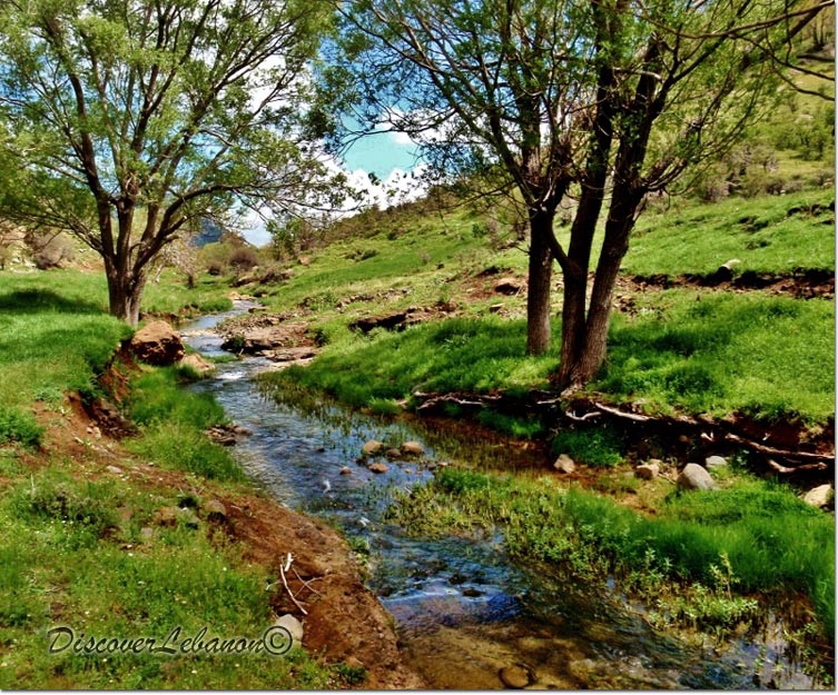 Brook in Jabal el Kneisseh