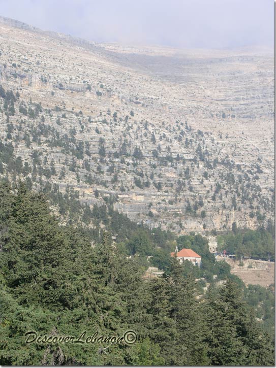 Trees and house in Ehden