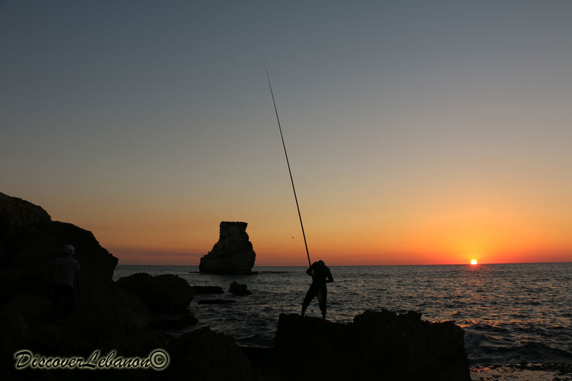 Fisherman in Amchit Byblos