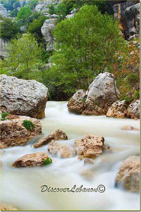 Kfarzebian River