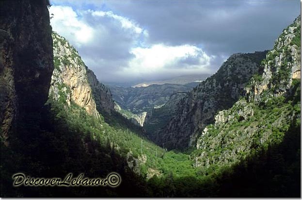 Valleys of Lebanon