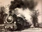 Train of old Lebanon
