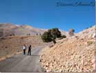 Road in Hioun Orghoch