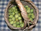 Figs from Lebanon