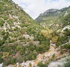 Wadi Es Saleeb