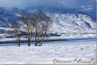 Kherbet Anafar snow