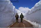 Lebanese army and snow
