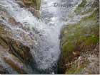 Spring of water in Bearzleh