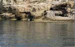 Fishing Amchit Byblos