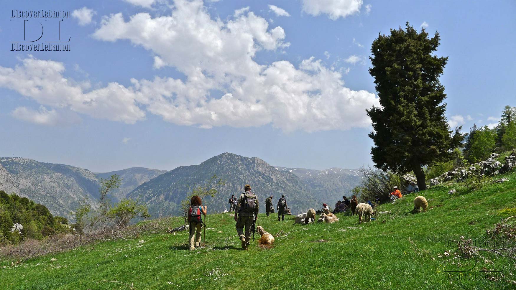 Panorama landscape nature Kfarbnine Qmamine Photographer Iskandar Tohmé