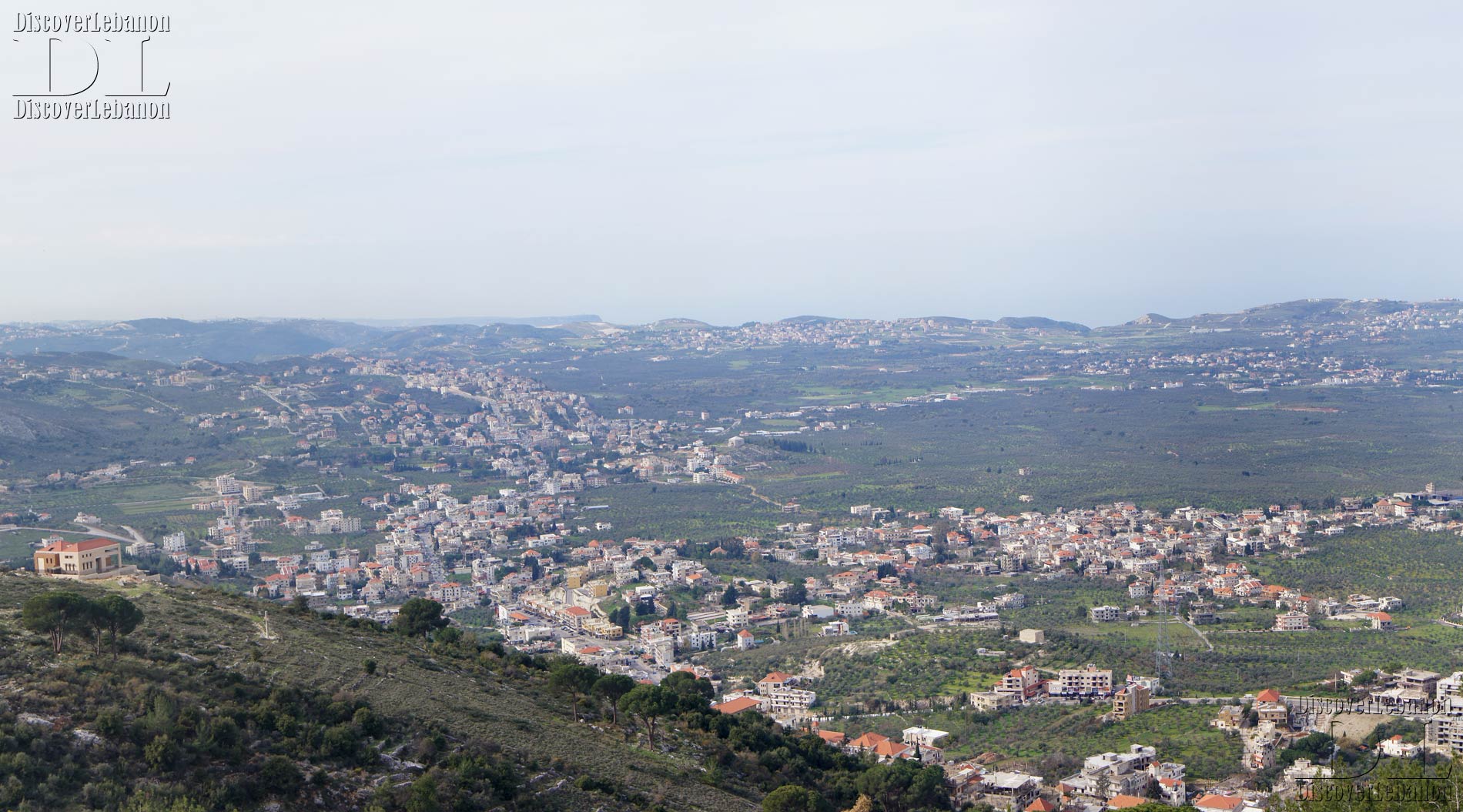 Panorama view image El Koura olive tree land