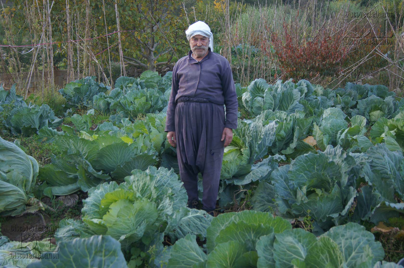 Lebanese Peasant costume working on agriculture