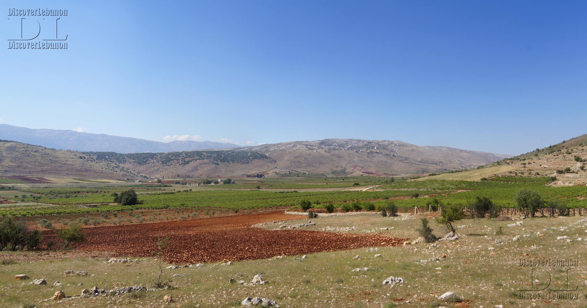 Village fields Kfarmechki