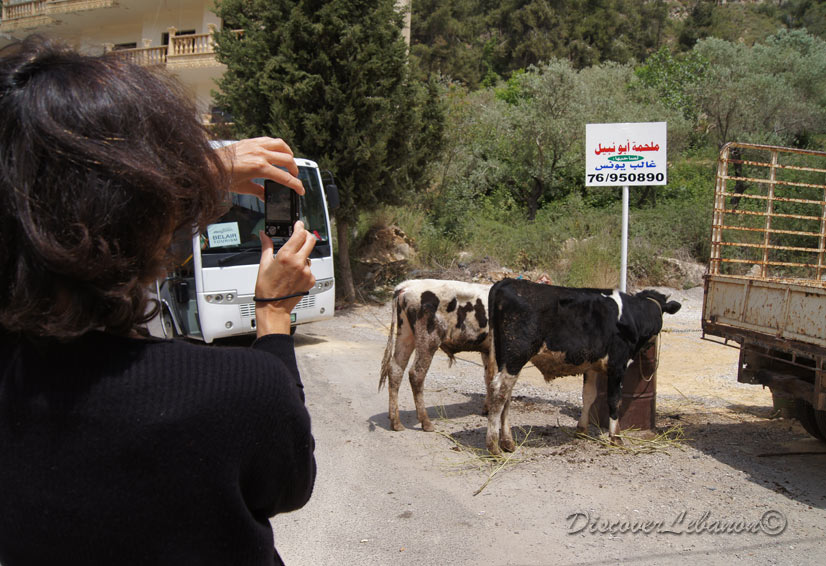 Photo souvenir from Ketermaya