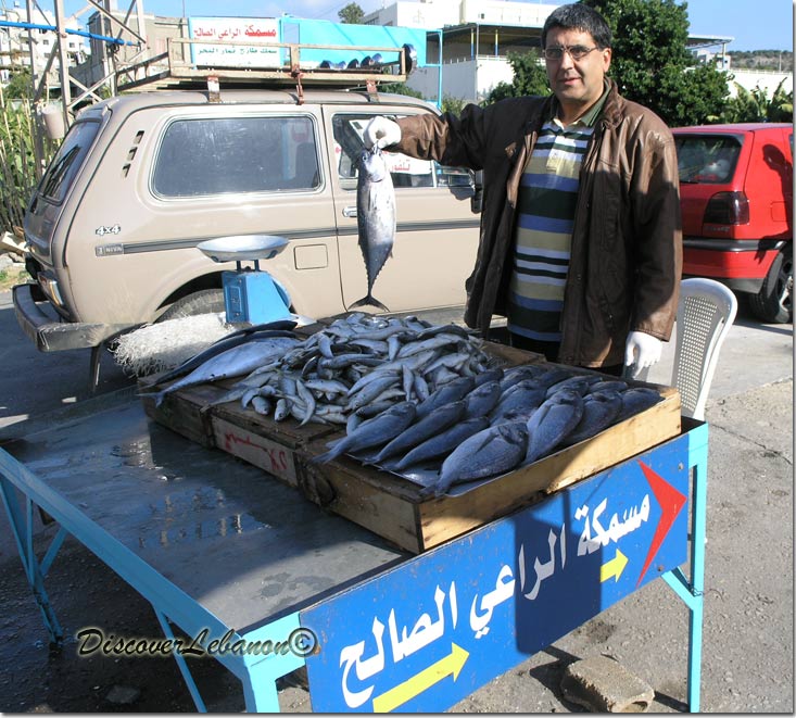 Fisherman in Byblos