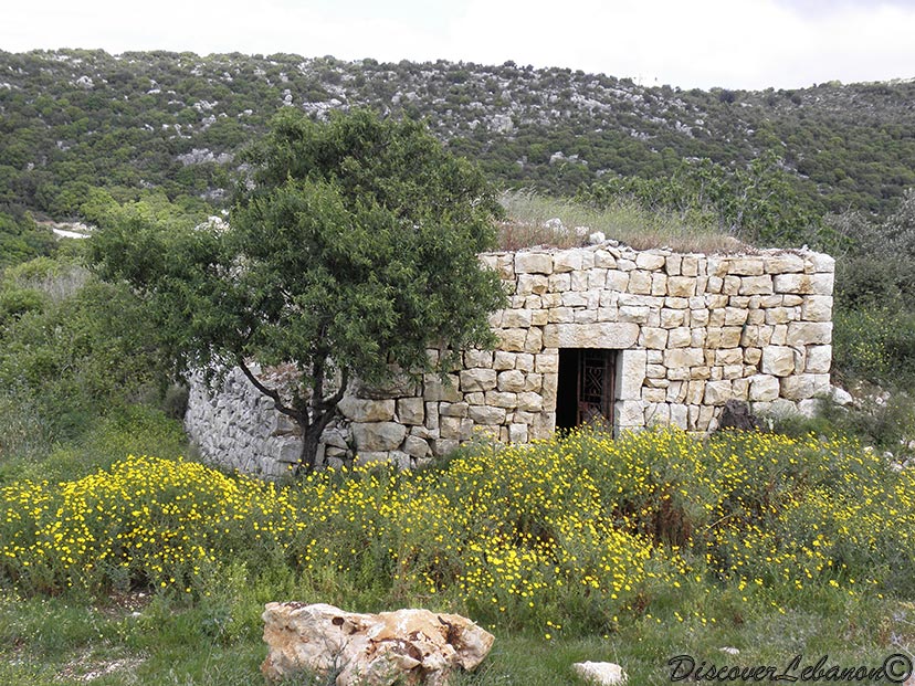 Old house Batroun