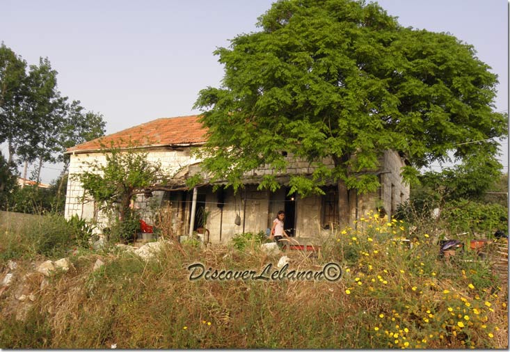 Old House in Chekka