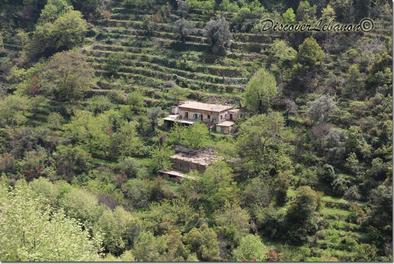 Houses in Holy valley