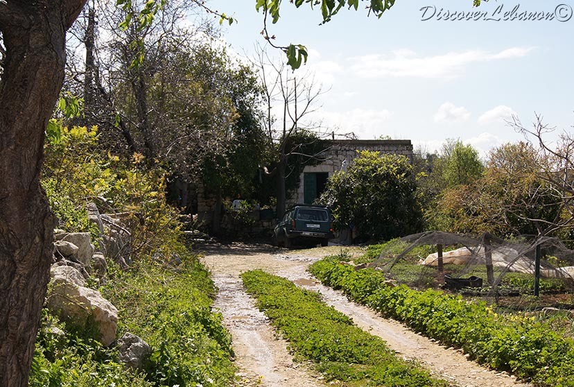 Home in Mehreen Mehrine