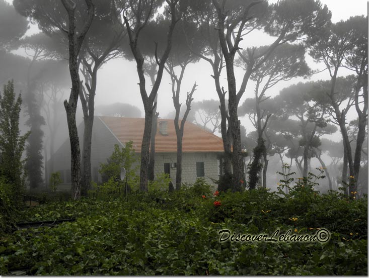 Old House in Bolonia