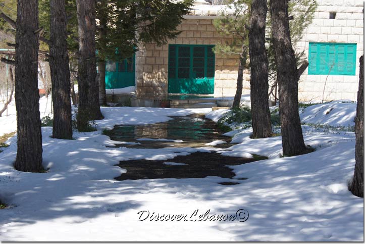 Green reflection in Qnat