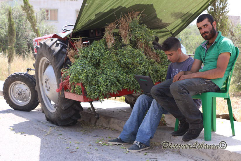 Selling online green hummus