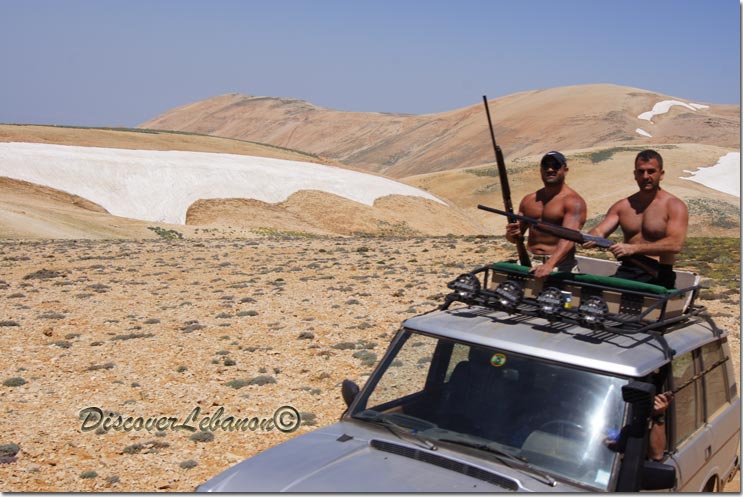 Musculed Lebanese guys