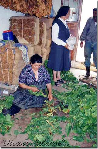 People working village Khawzah