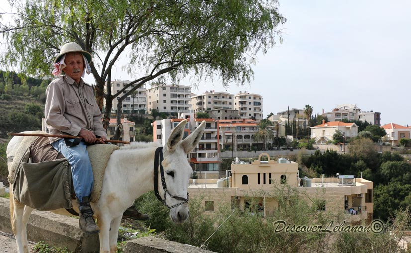 Peasant and donkey in Hboub