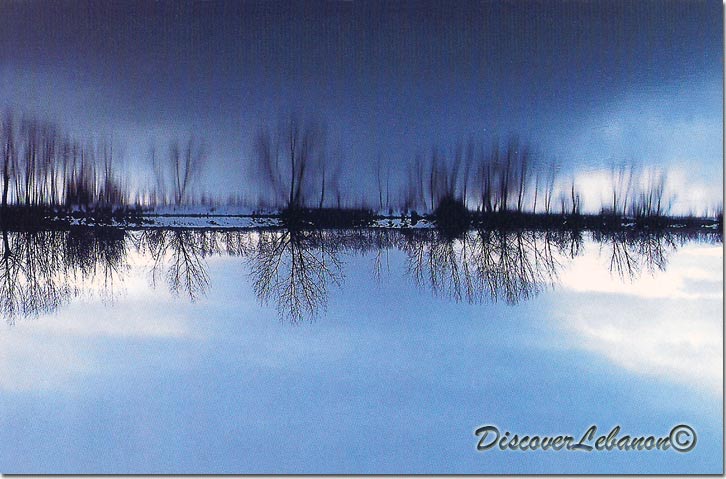 Taanayel Lake, Zahleh